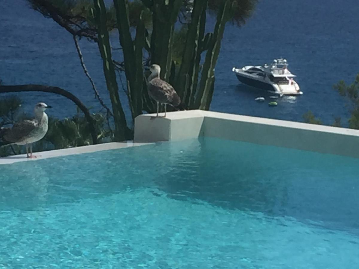 Villa Mael Ramatuelle Εξωτερικό φωτογραφία